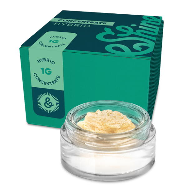Lemon Gelato CKIES – &Shine – Hybrid – (1g)